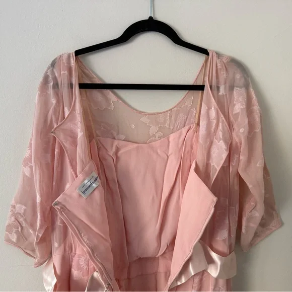Vintage 80s Pink Silk Chiffon Frances Brewster Dress Sheer Floral Velvet Sz L/XL - Picture 6 of 15